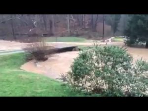 Angel-Fork-Flood