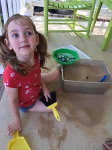 Fern Treasure Hunt