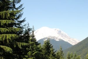 Mount Rainier 2011 062
