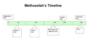 Methuselah Life