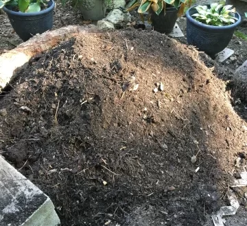 NicholsNotes Soil from compost at Paths of Hope
