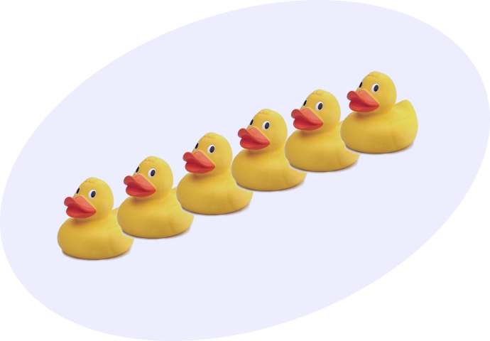 My Ducks In A Row