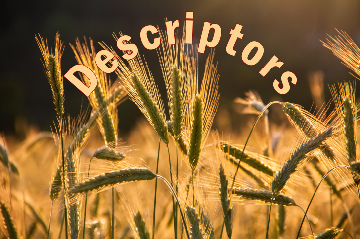 Descriptors Over Wheat