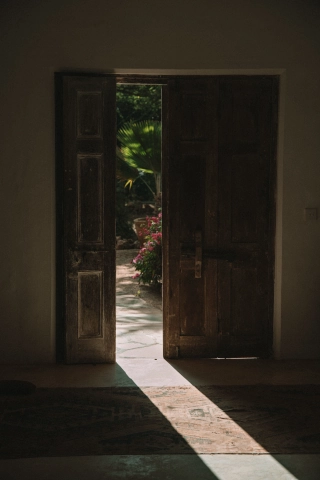 pexels-roman-odintsov-11025279